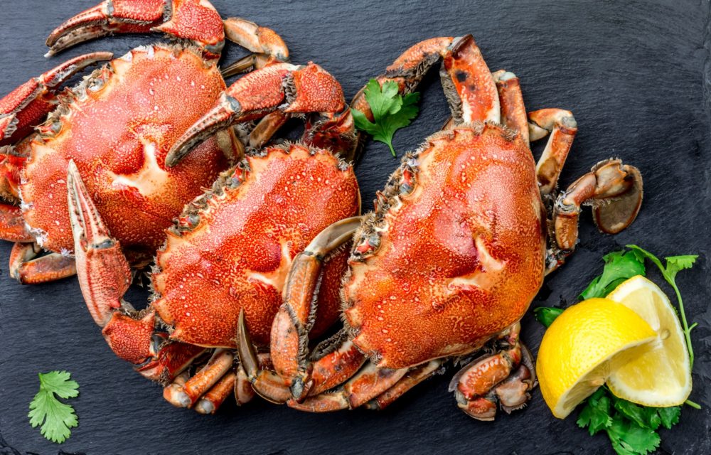 Cooked crabs on black plate served with white wine, black slate background