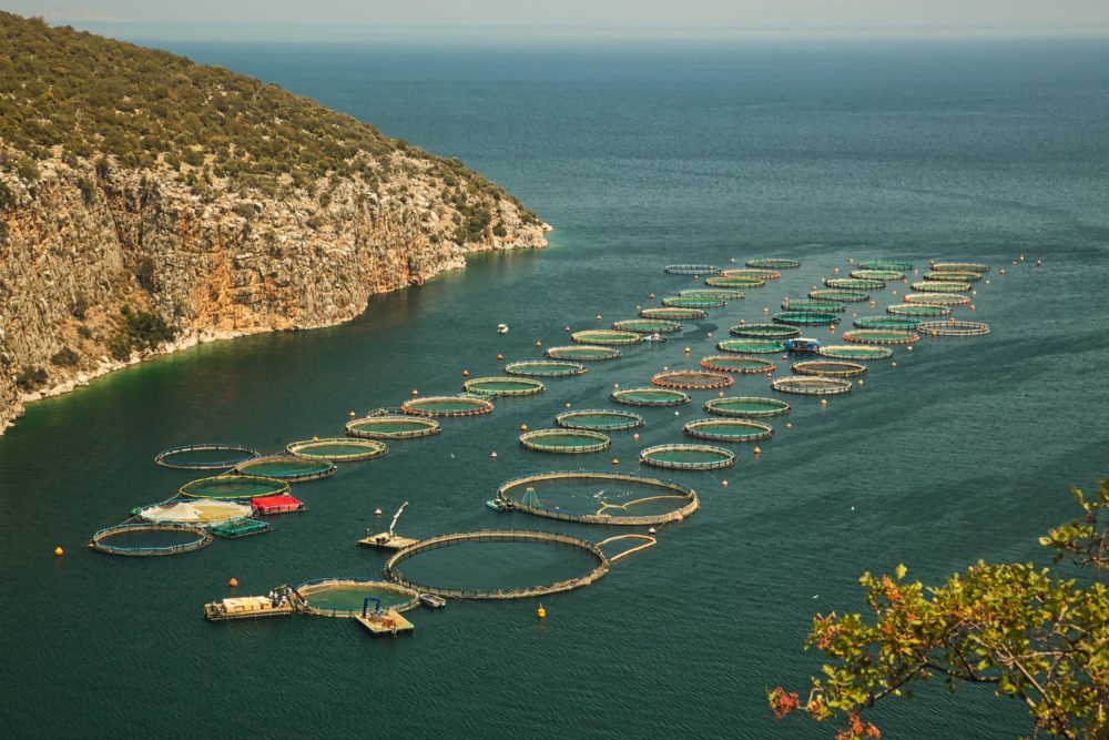 Fish farm cages on bay in Mediterranean sea, Greece