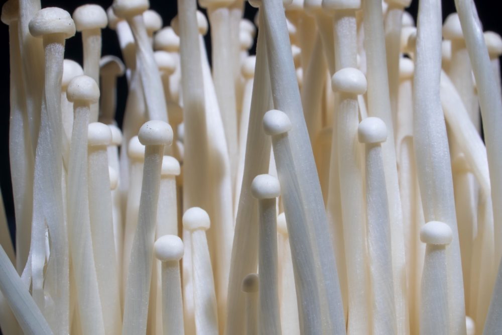 Enoki mushrooms, close up shot