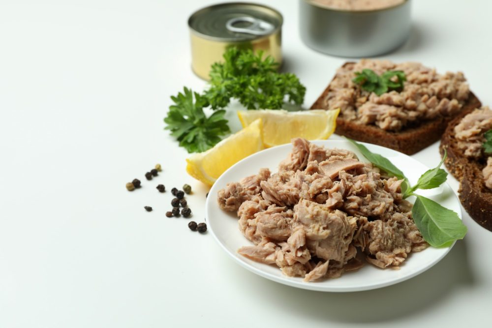 Concept of tasty eating with canned tuna on white background