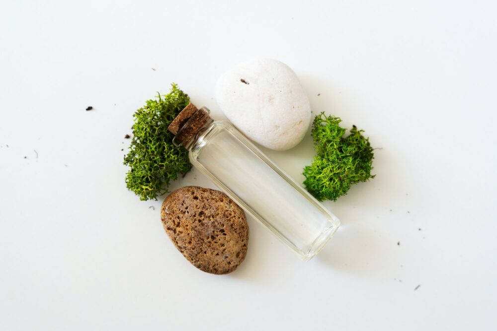 Sea moss personal care. Glass cork bottle with transparent serum and sea moss on white background