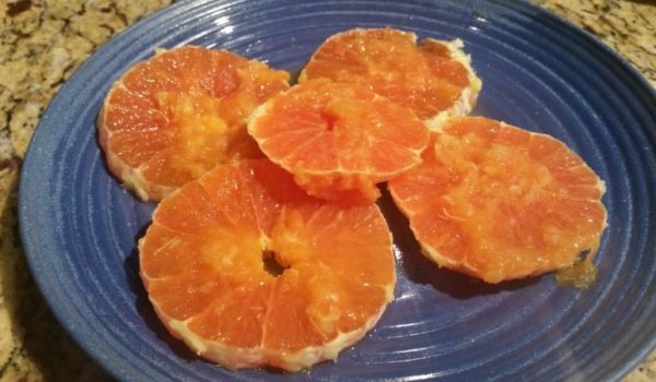 Dreamsicle Orange SLices