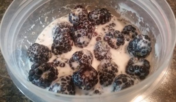 Blackberries with Vanilla Mint Sauce